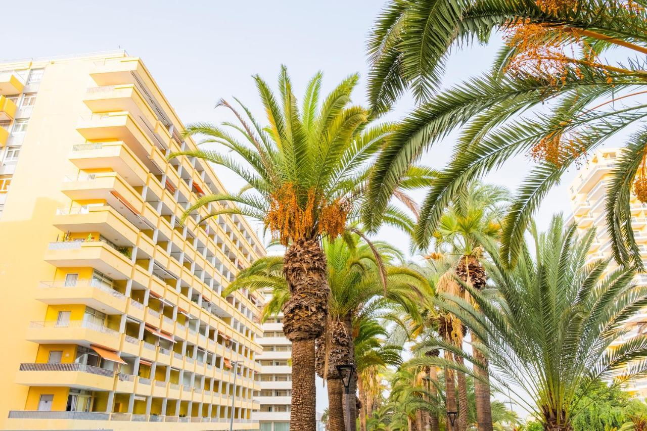 Live Puerto De La Cruz Las Palmeras Puerto de la Cruz (Tenerife) Exterior foto